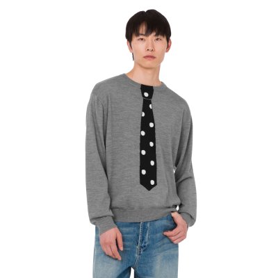 THE EXTRA-FINE MERINO WOOL PULLOVER WITH INTARSIA
